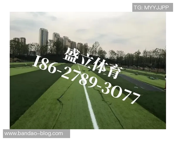 足球场天然草坪造价分析及影响因素探讨与预算建议 足球场天然草坪造价分析及影响因素探讨与预算建议